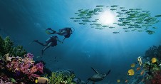 Sharm El Sheikh